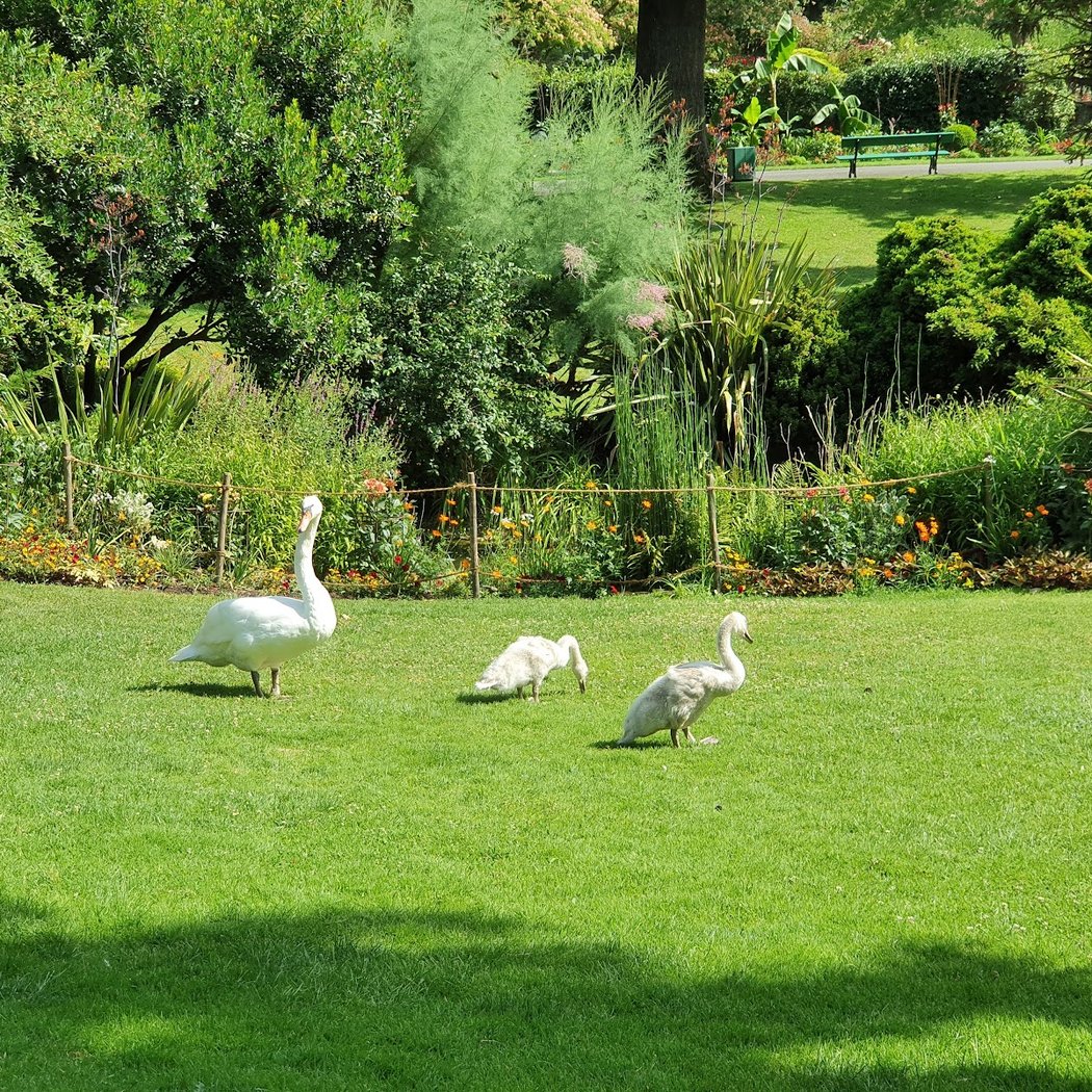 Jardin des plantes d'Angers 3