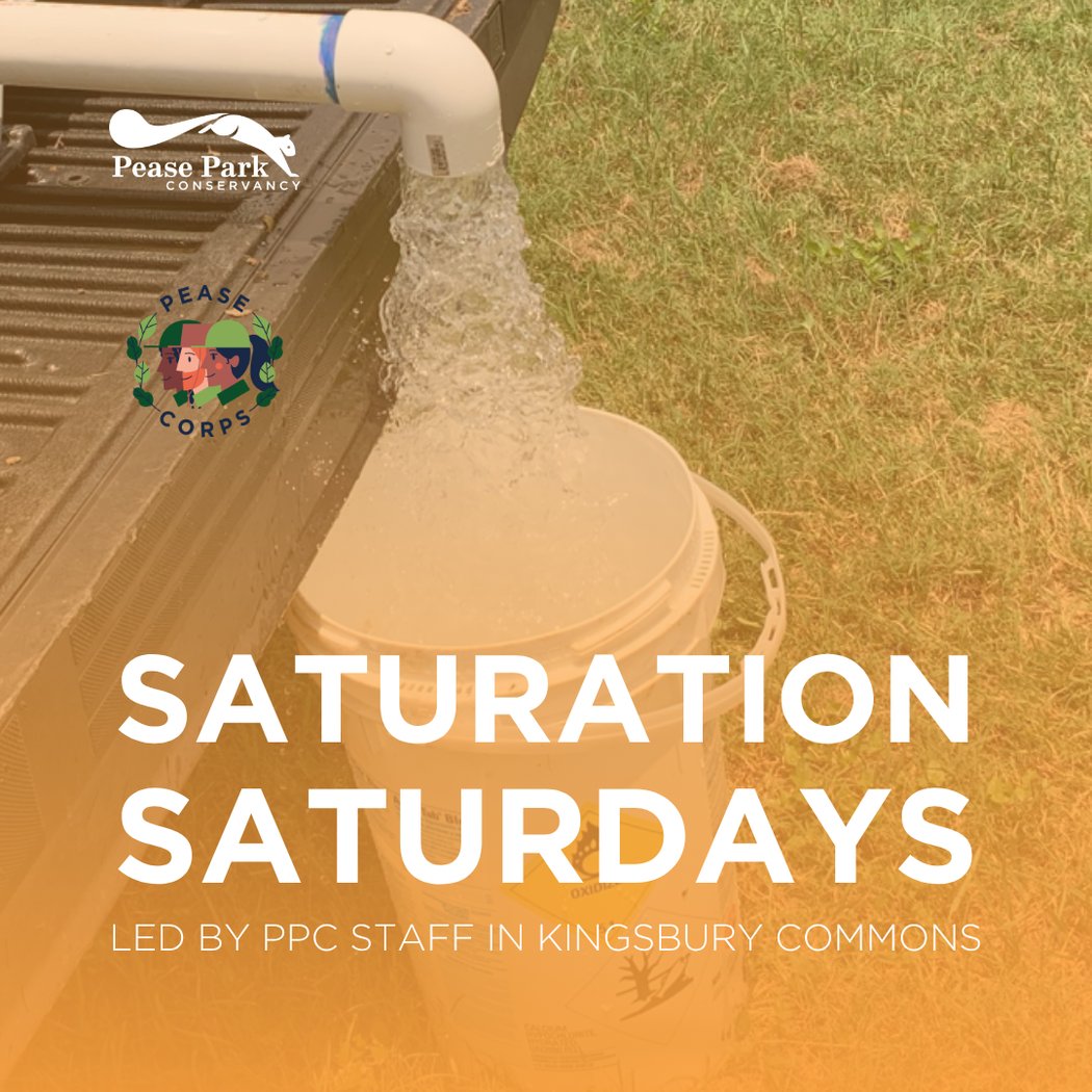 Saturation Saturday 1
