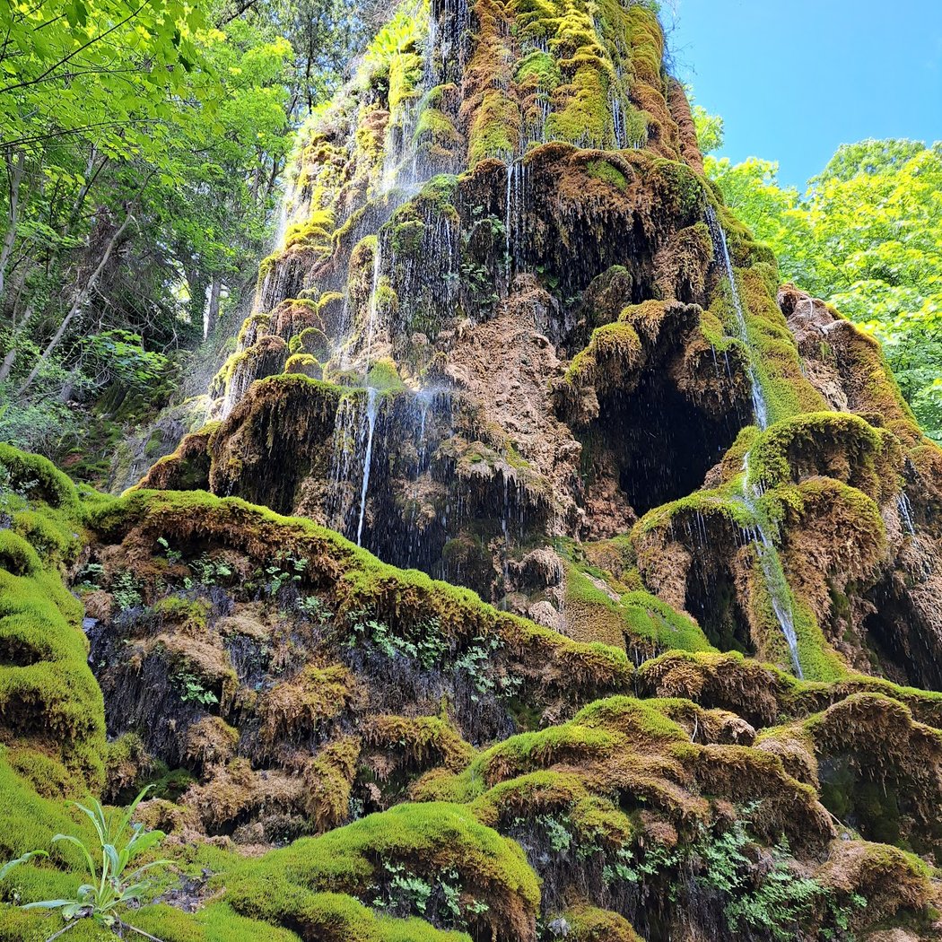 geological reserve of Haute-Provence 1