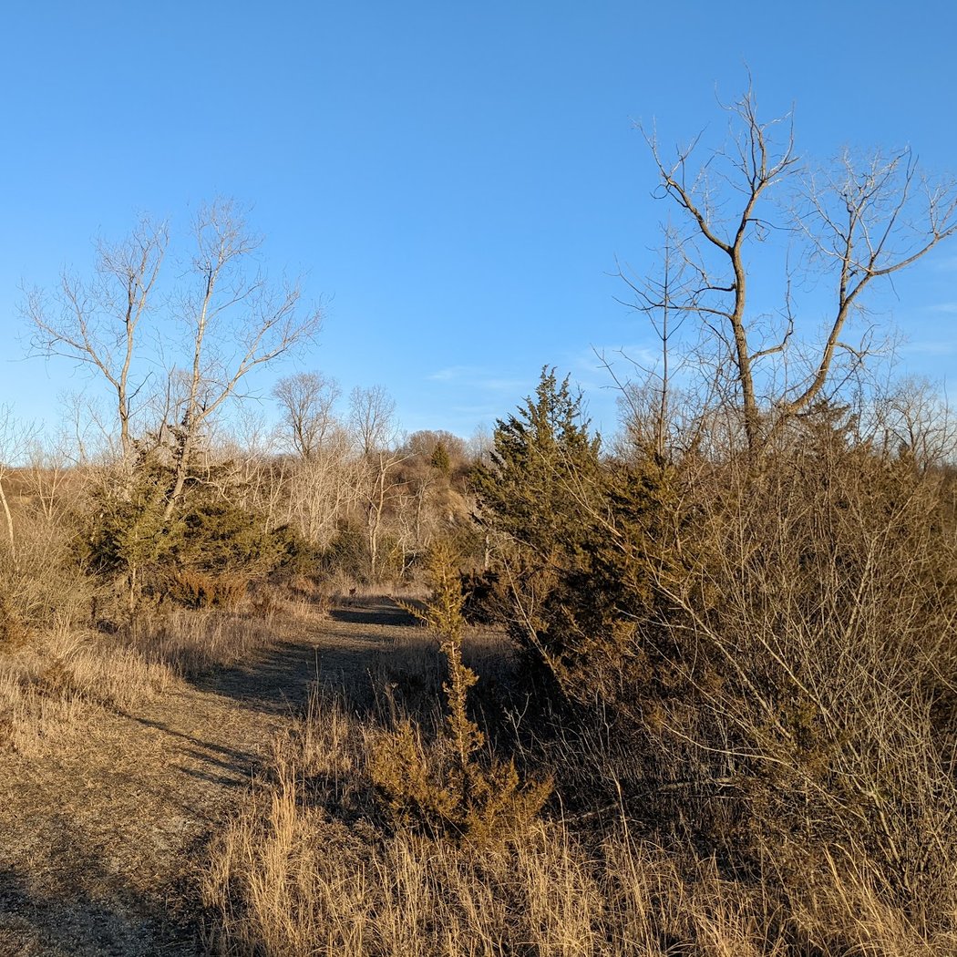 Fox Science Preserve 2
