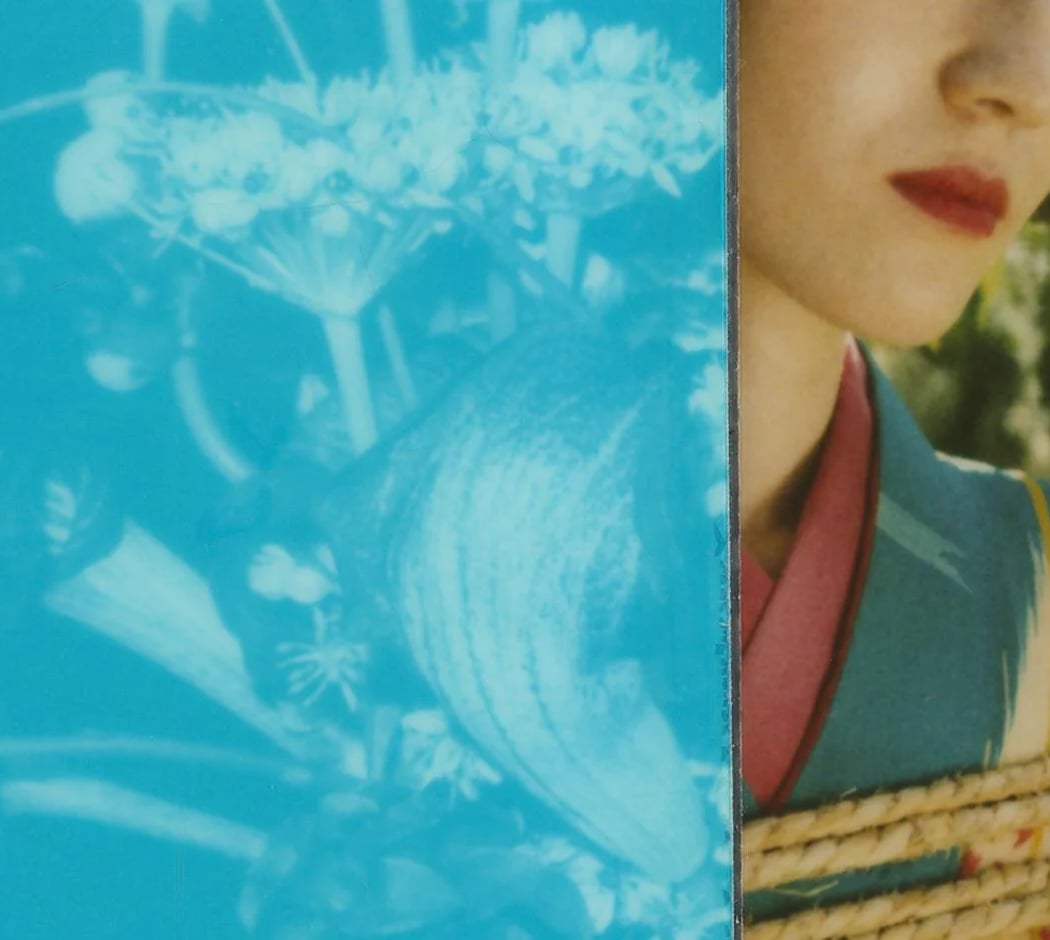 POLARAKI - Mille polaroids d’Araki Nobuyoshi 2