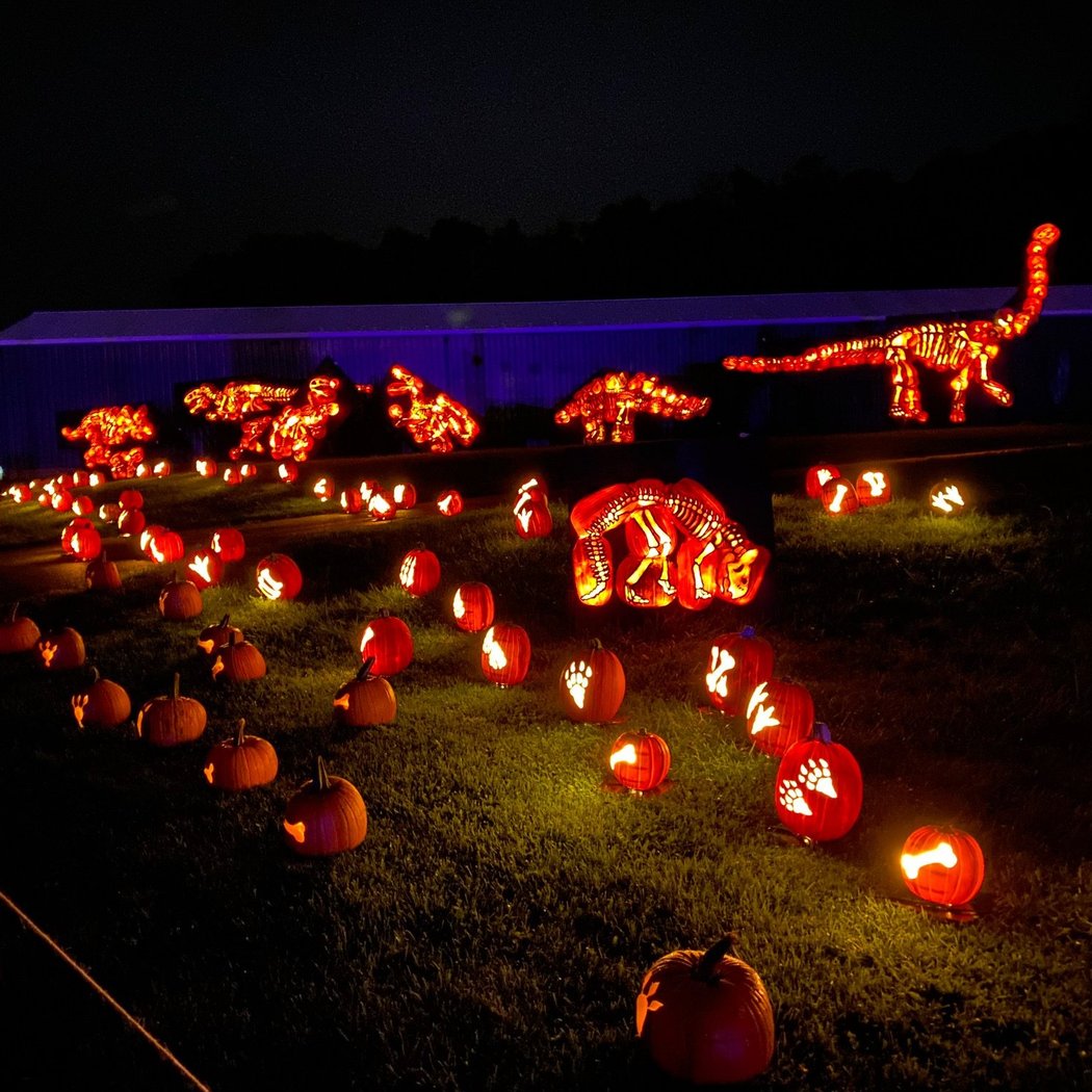 Jack O' Lanterns Unleashed 2