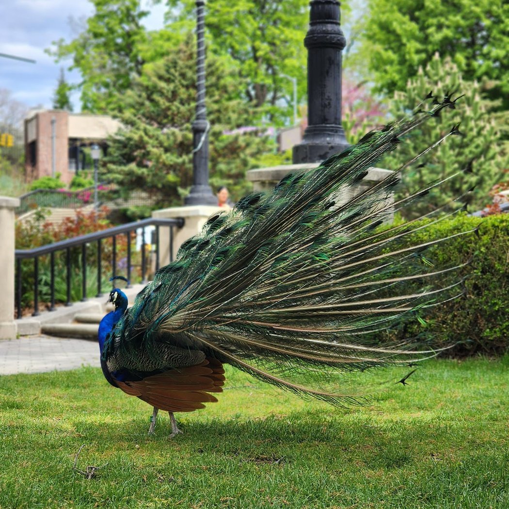 Halloween at Prospect Park Zoo 3