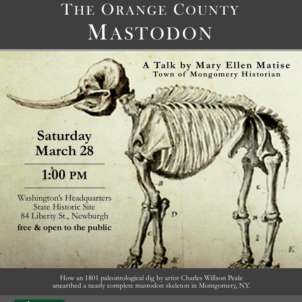 The Orange County Mastodon 1