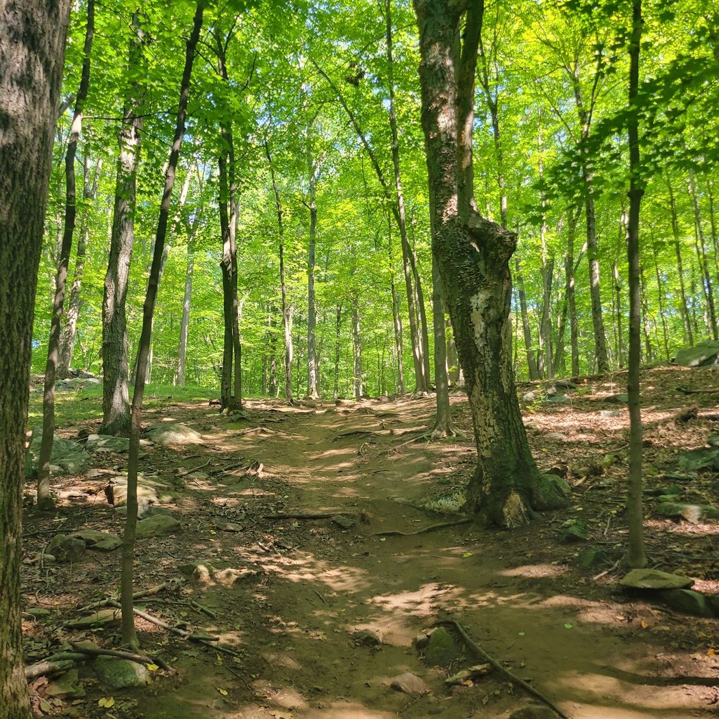 Graham Hills Park 2