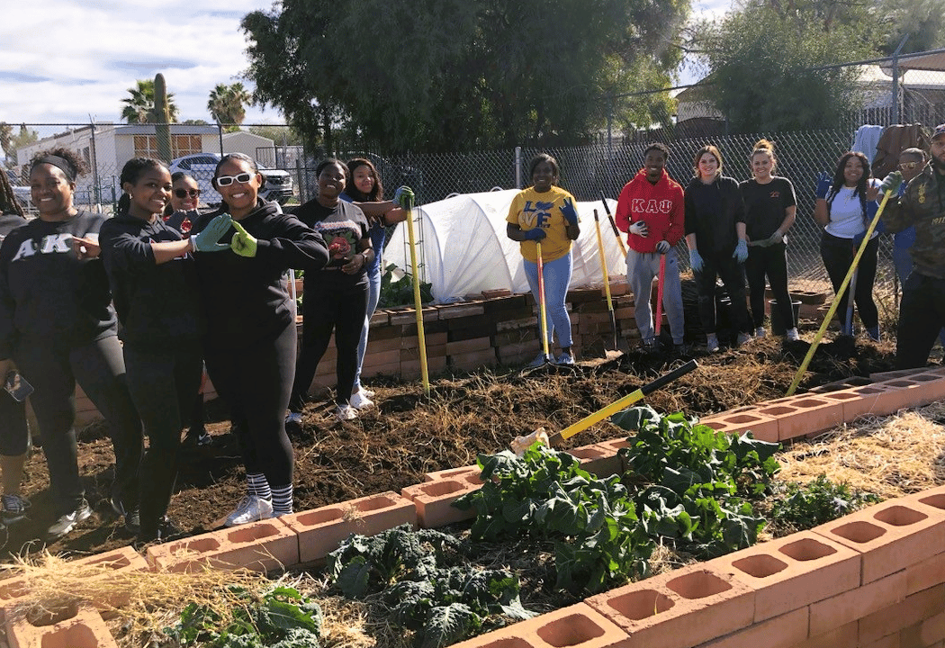 Community Garden Volunteer Session 3