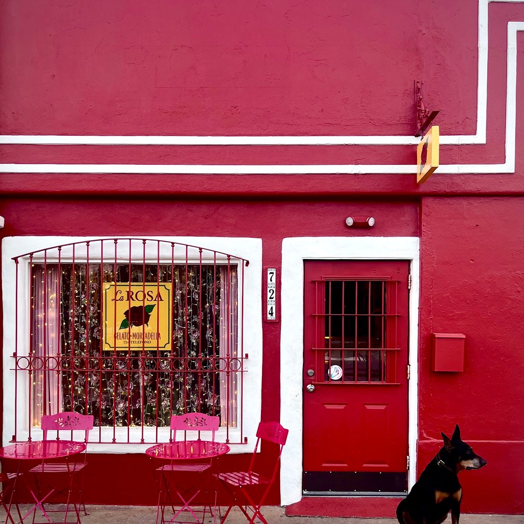 La Rosa 2