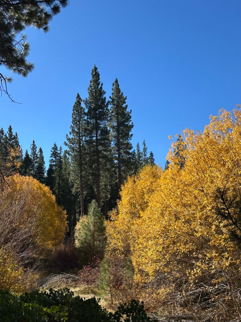 Van Sickle Bi-State Park 3