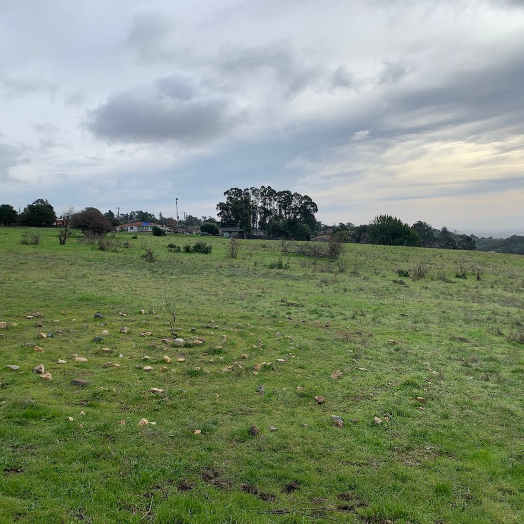 Knowland Park Open Space 2