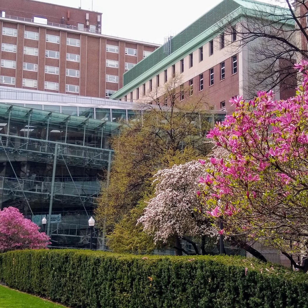 Morningside Campus 3