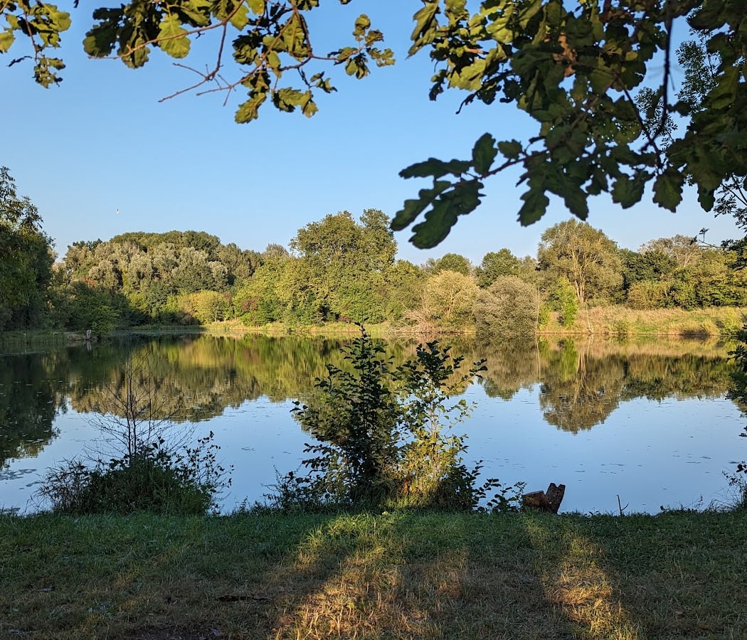 Bassin de Longpont 1