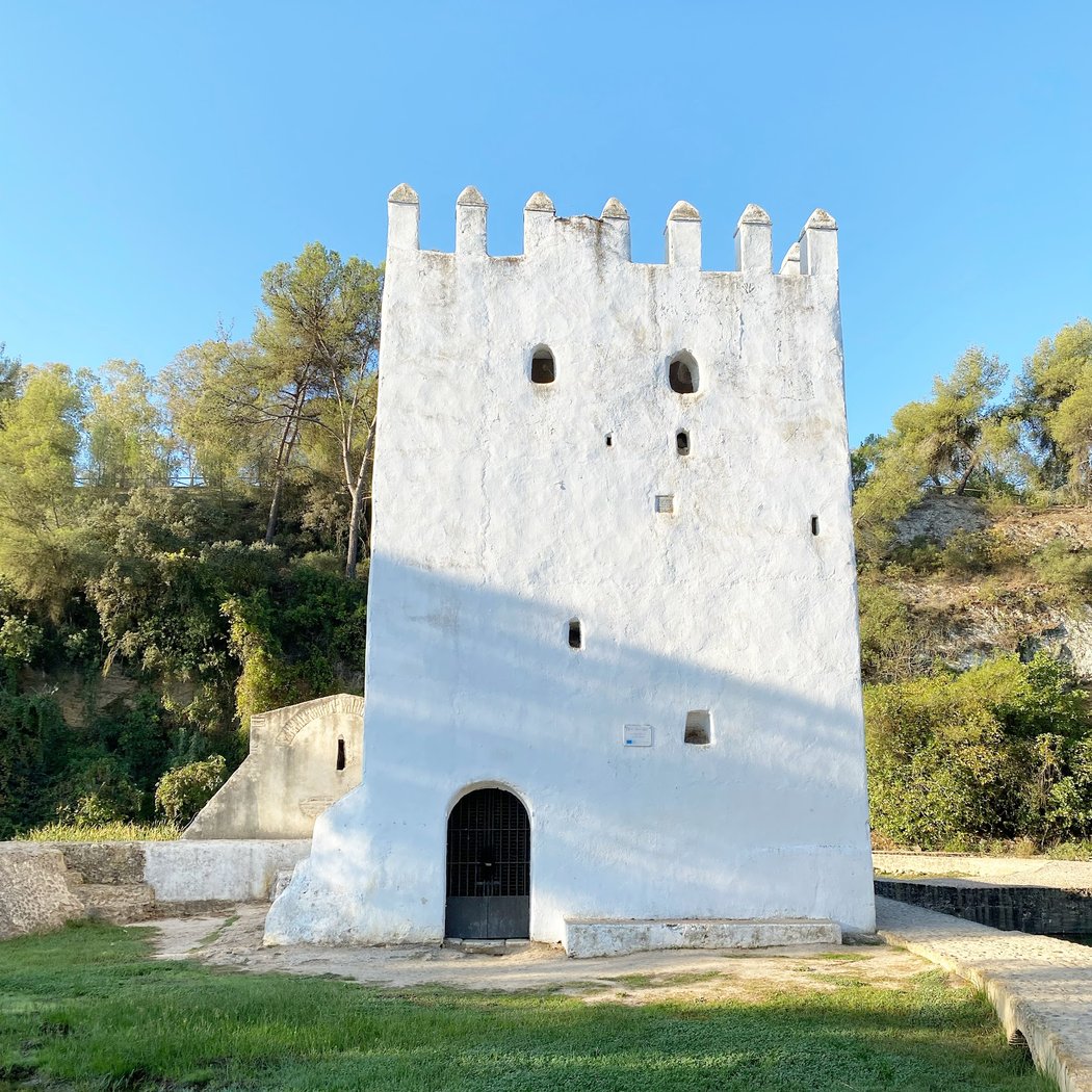 Molinos Alcalá 3