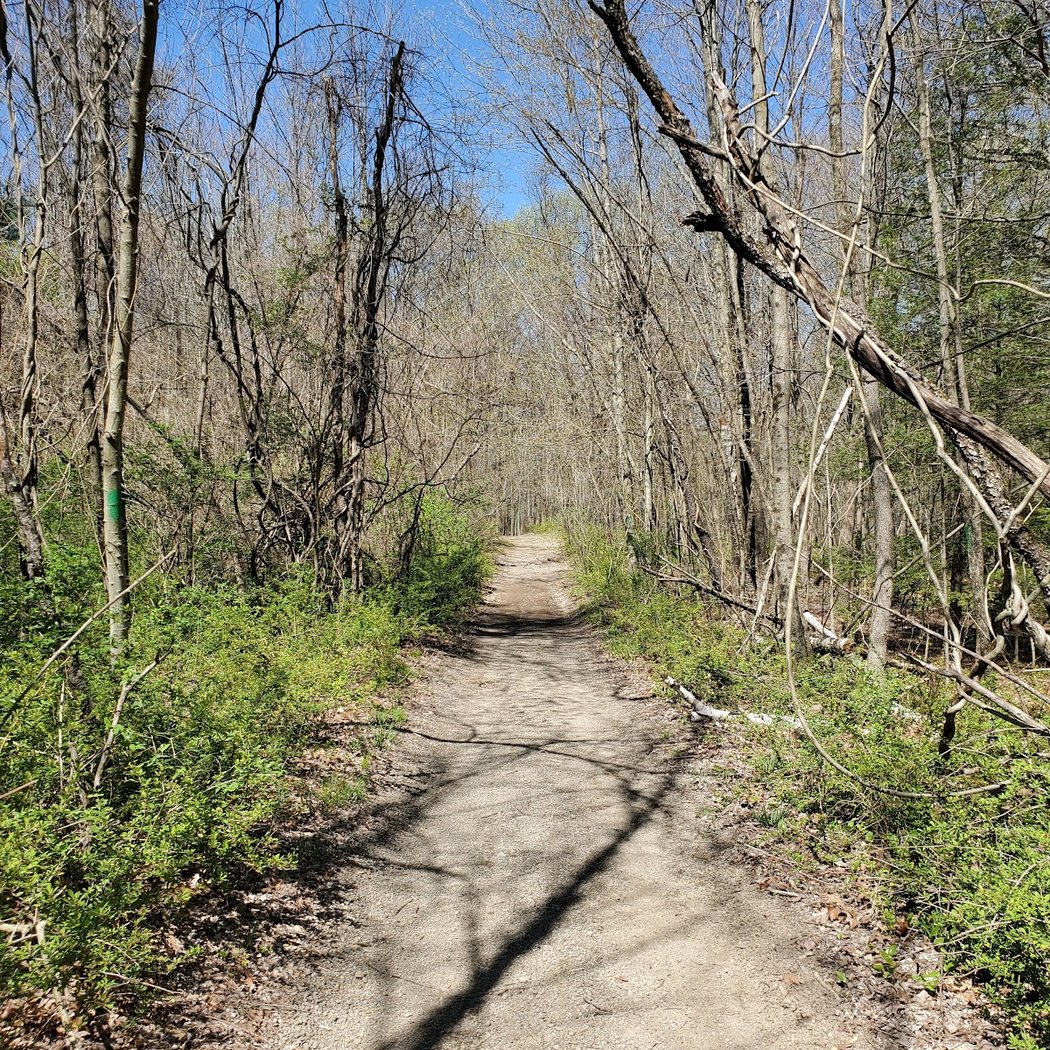 Highlands Preserve 3