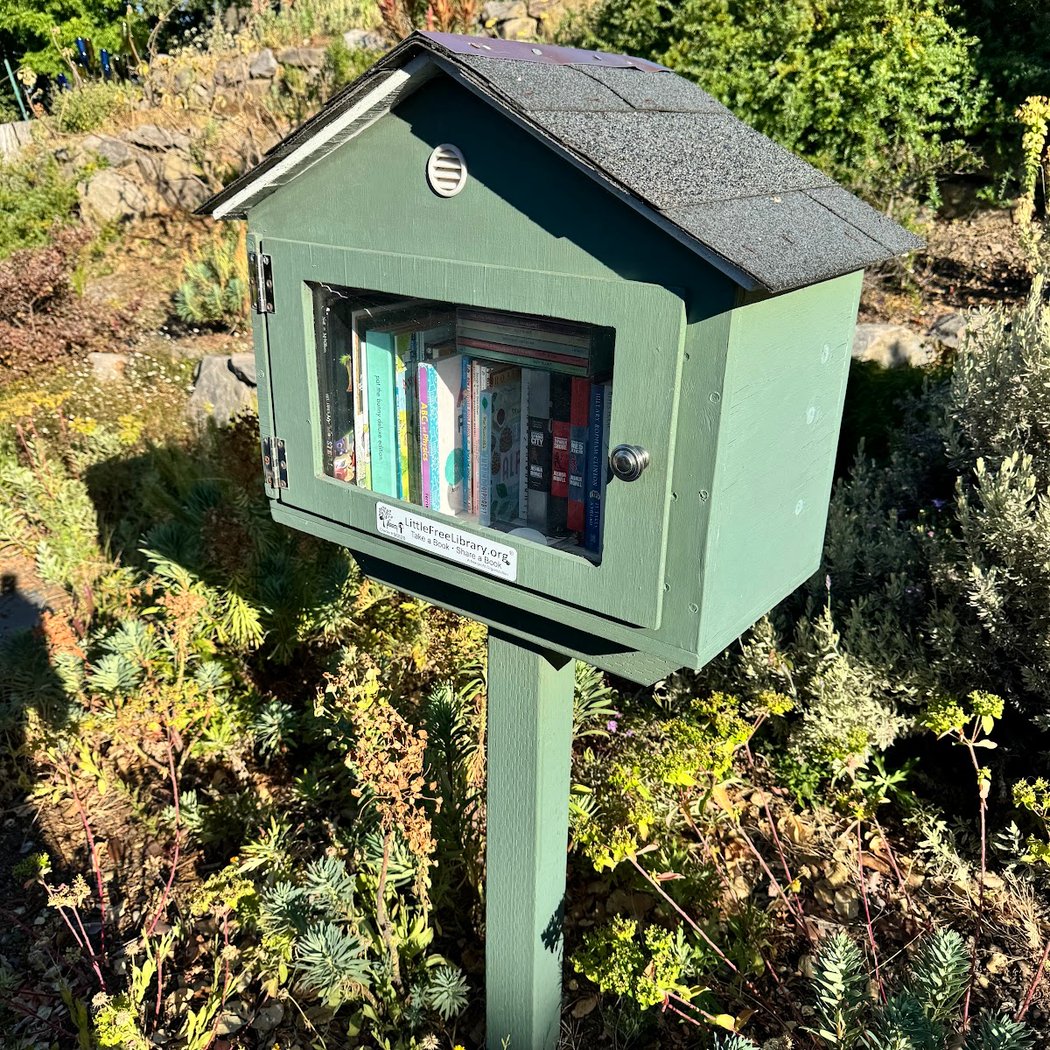 Little Free Library 1