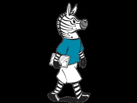 Digital-Zebra - allgemeine Digital-Beratung