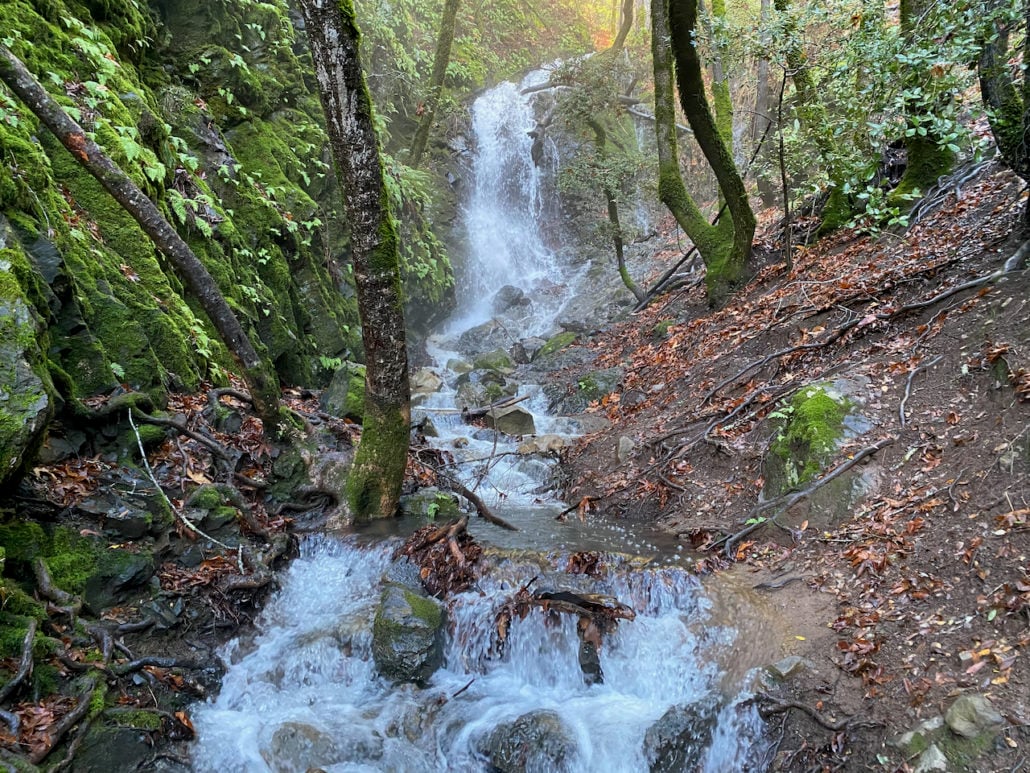 Uvas Canyon County Park 2