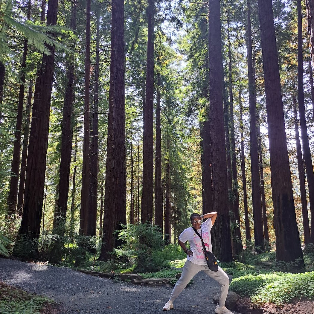 Redwood Grove Amphitheatre 3