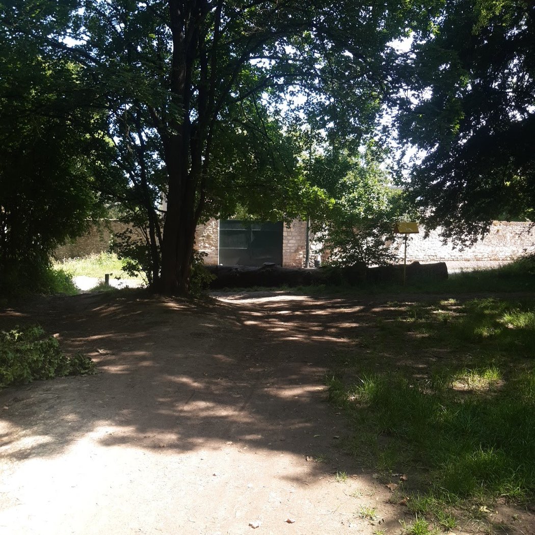 Sortie de forêt 2