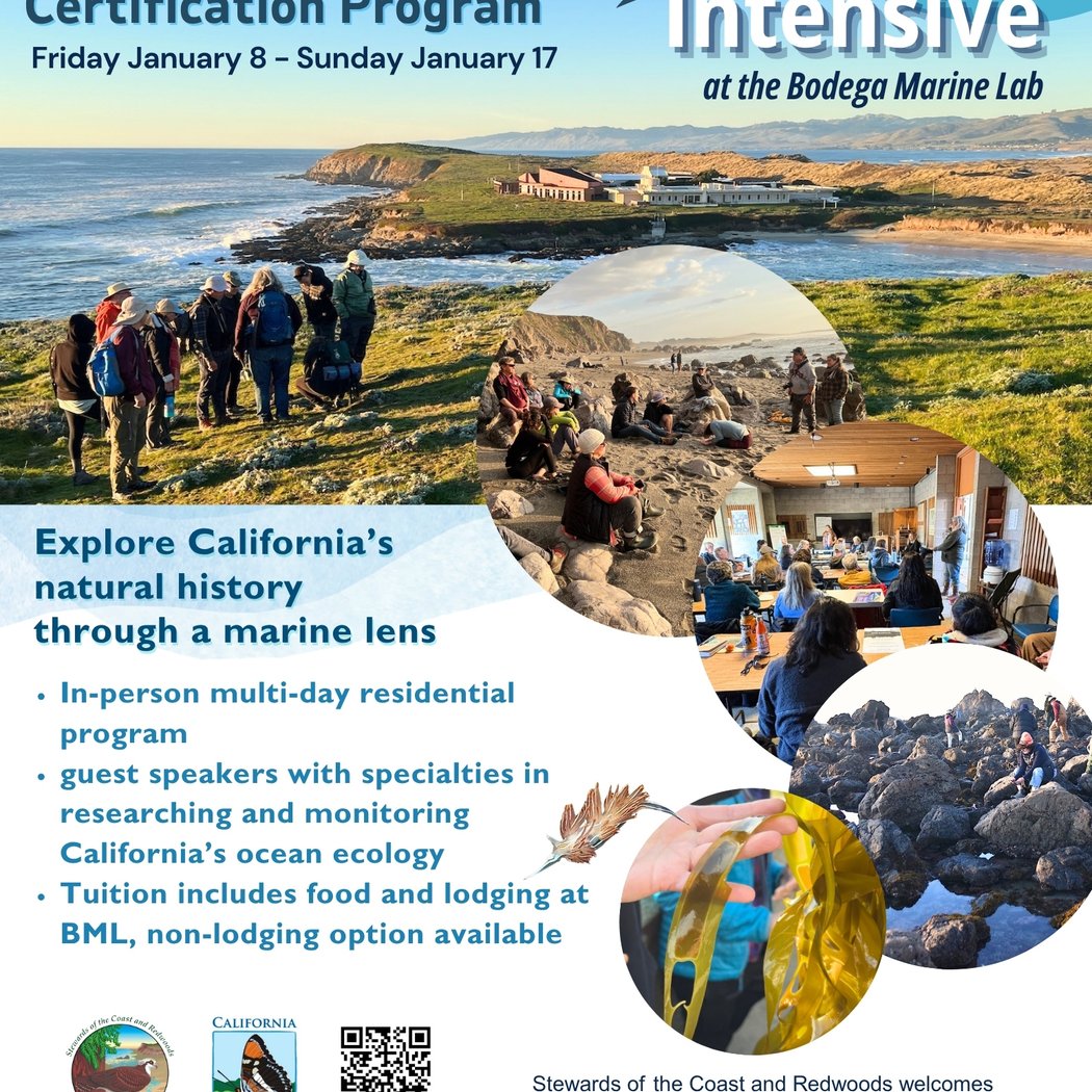 2027 U.C. Cal-Nat Oceans Intensive at Bodega Marine Lab 1