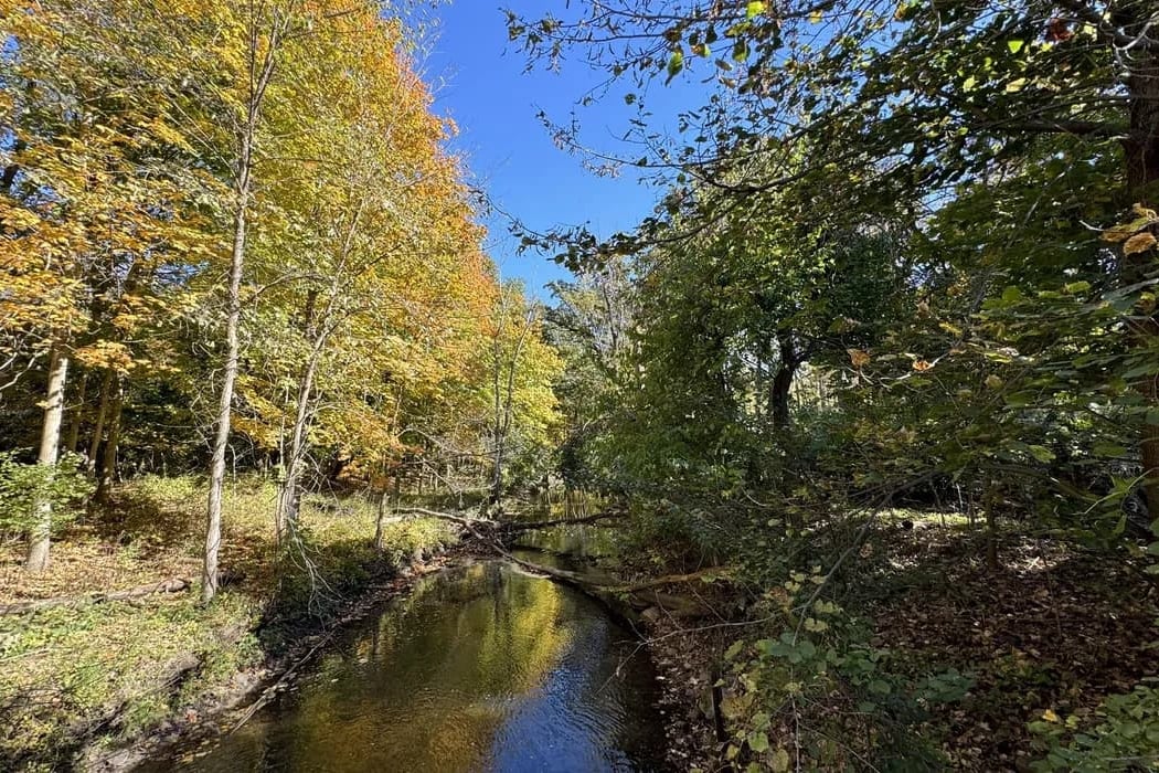 Parker Mill County Park 4
