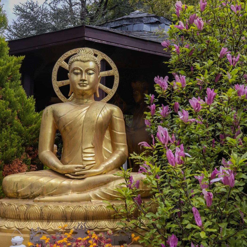 Wat Thammapathip International 1