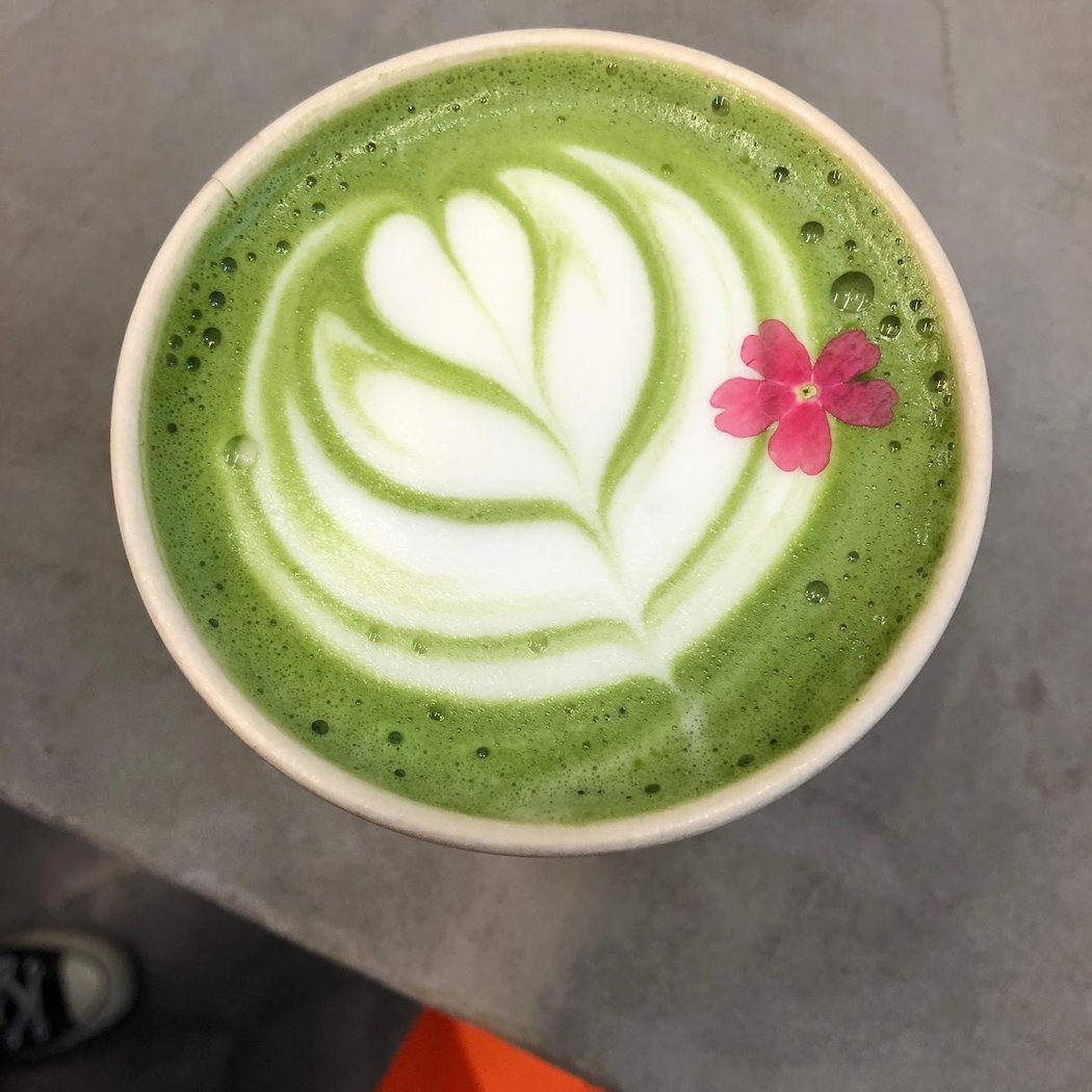 Shiba café 1