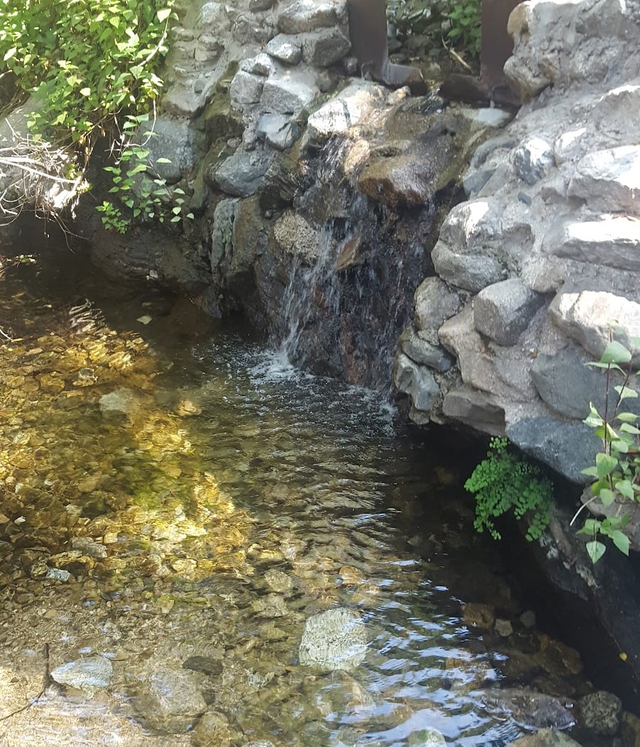 Millard Canyon Preserve Habitat Restoration 3