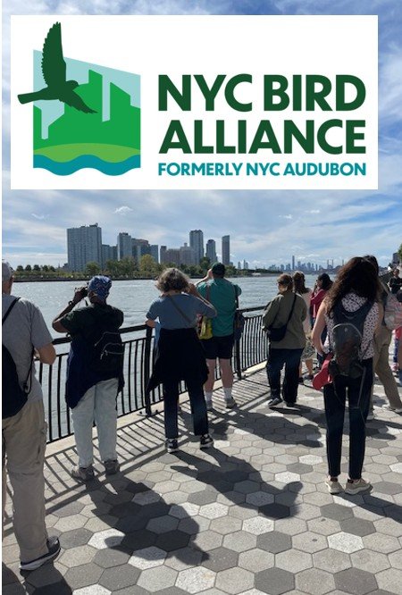 Free Bird Walk EsplanadeFriends x NYC Bird Alliance