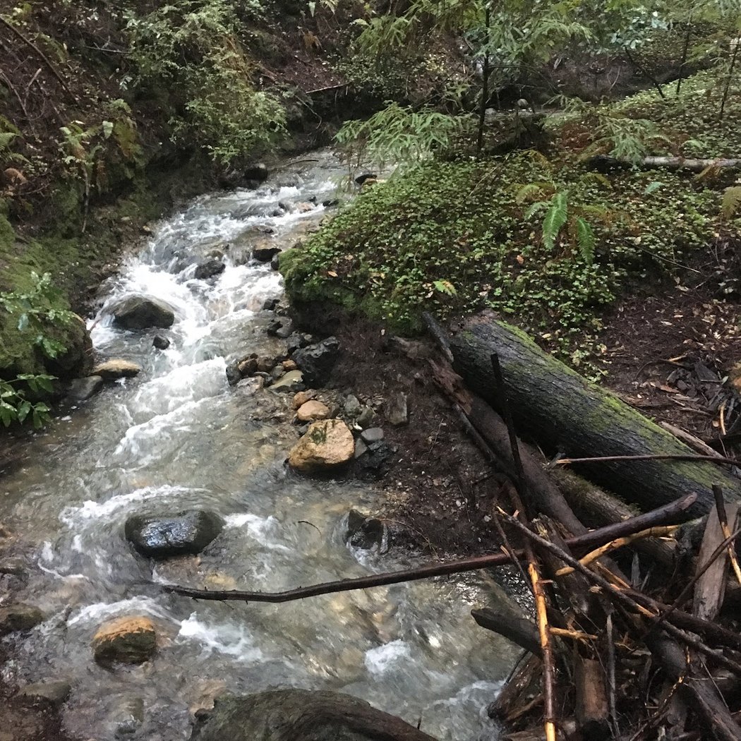 Page Mill Site 2