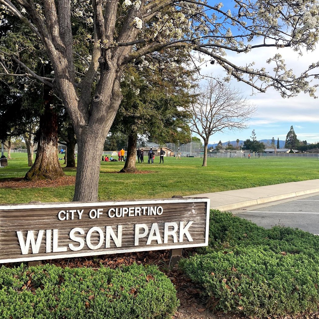 Wilson Park 1