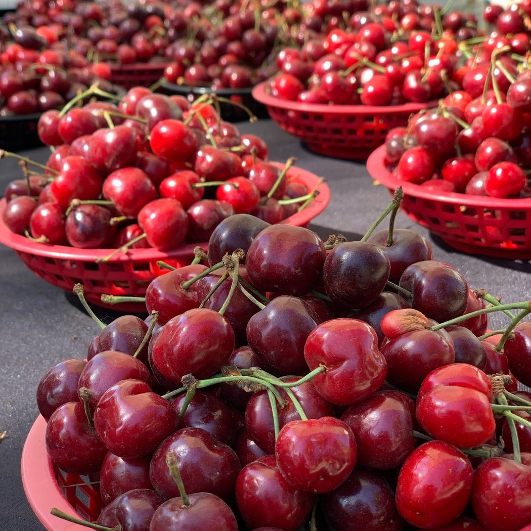 Discovery Bay Farmers Market 1