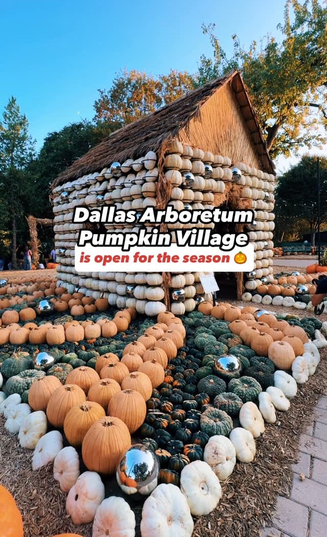 Pumpkin Village 3