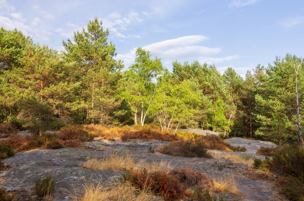 Sentier des Gorges de Franchard 3