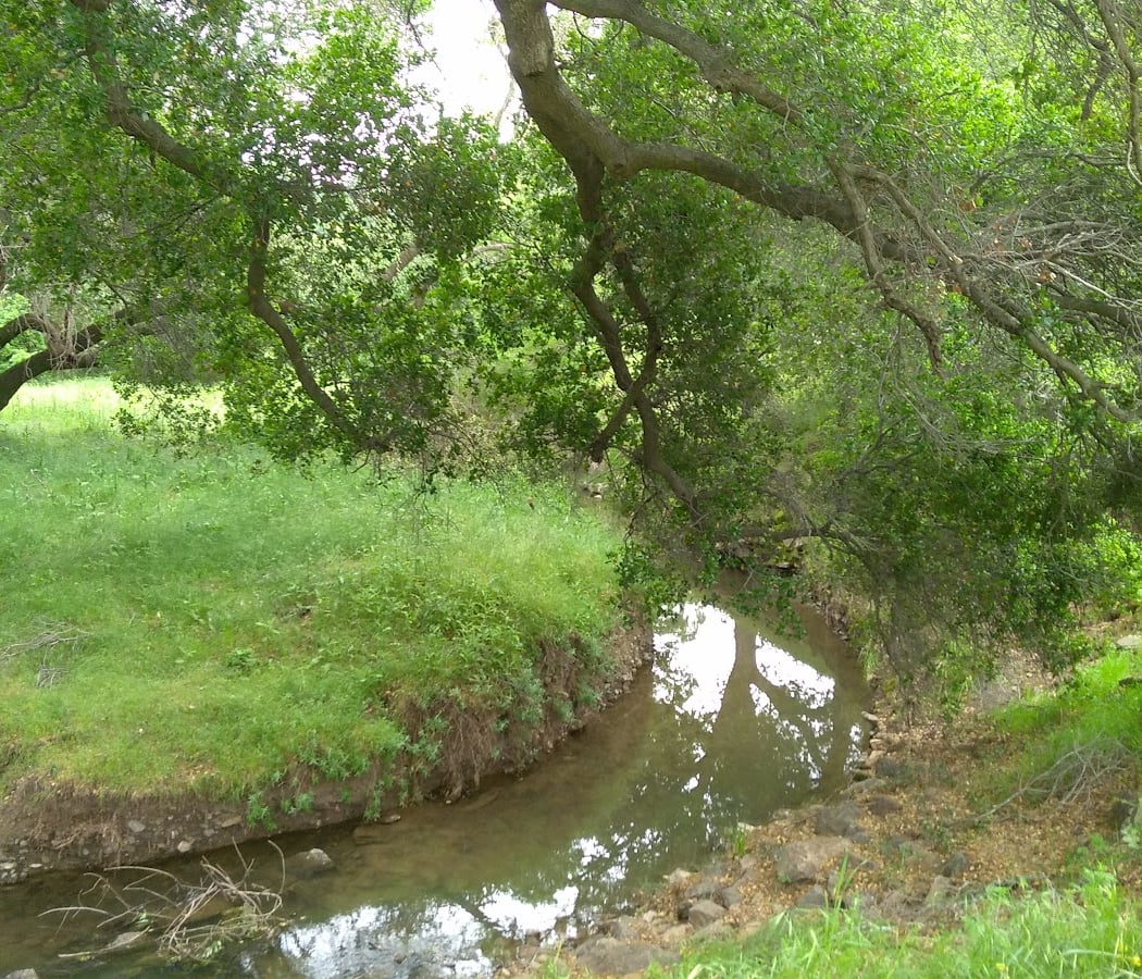 Castle Rock Pool 3