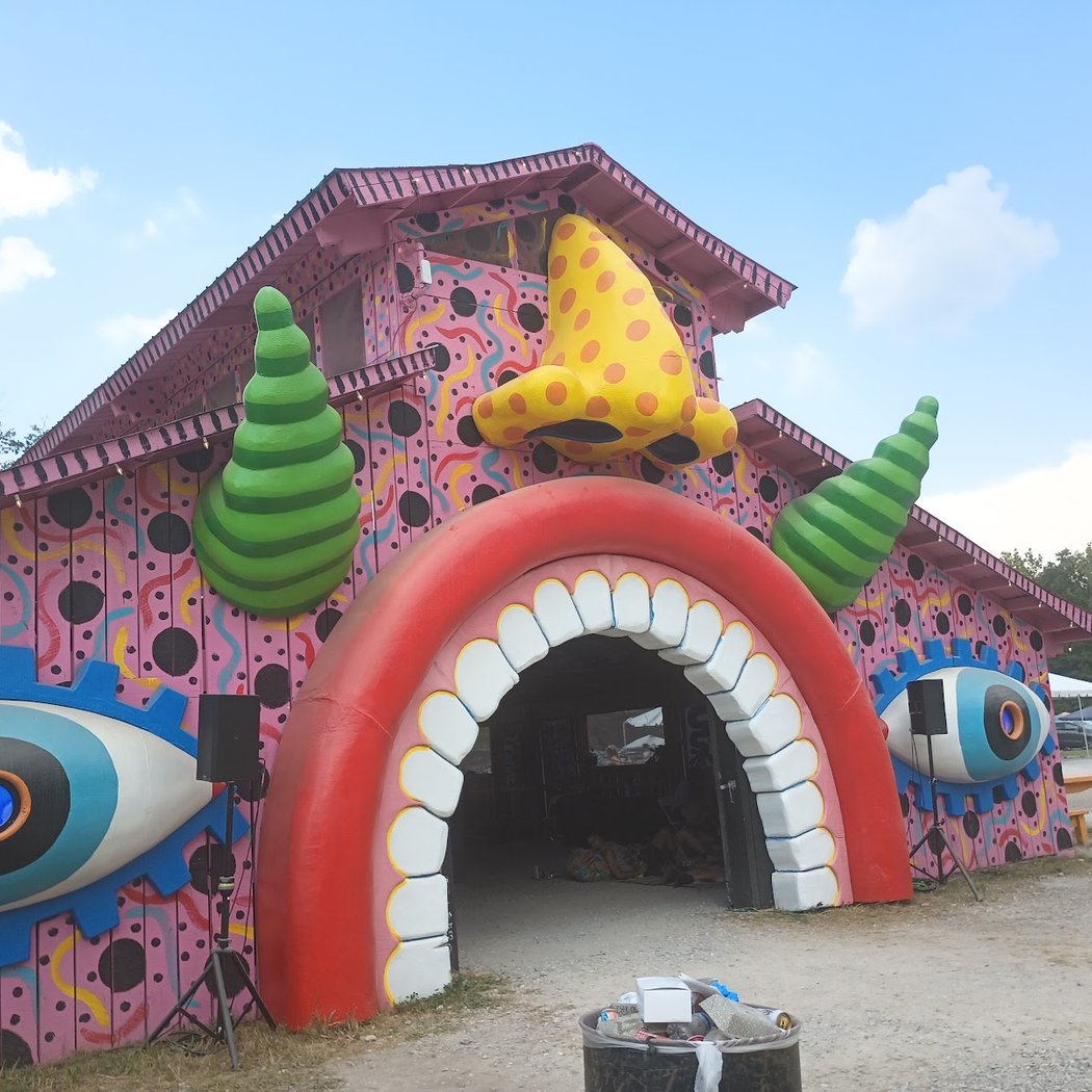 Bonnaroo Music and Arts Festival 2