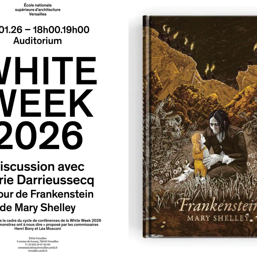 Marie Darrieussecq: discussion autour de Frankenstein de Mary Shelley 1