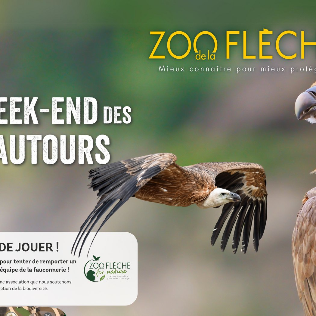 Week-ends des vautours 2025 1