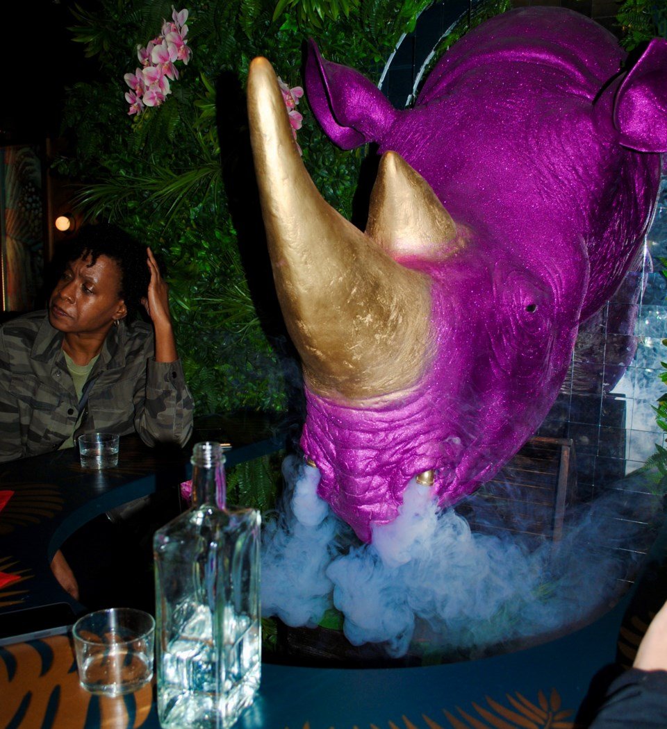 Ra-Ra Rhino (speakeasy thru the photobooth ) 5