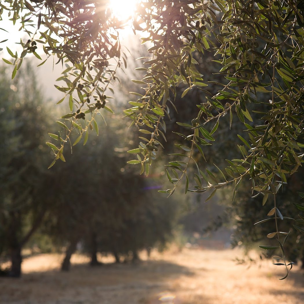 Open Farm Days 2