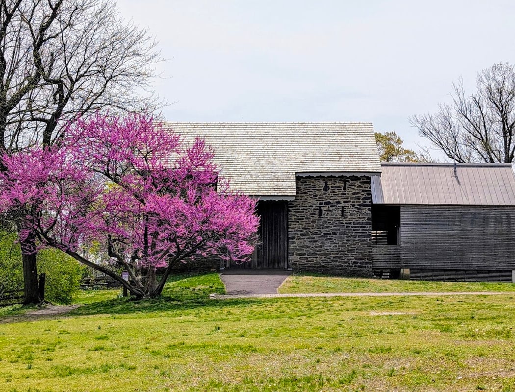 Volunteer Farm at Bartram's Garden 2