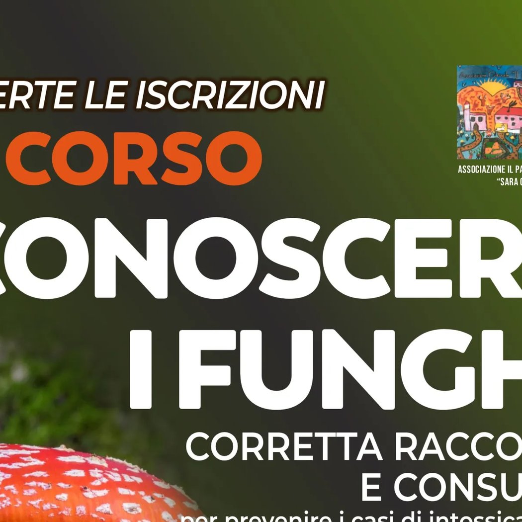 Conoscere i funghi 2