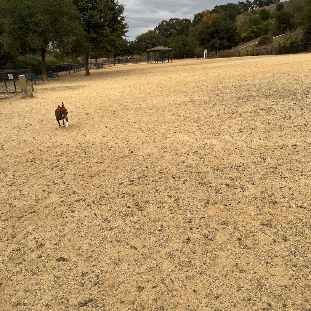Bollinger Dog Run 1