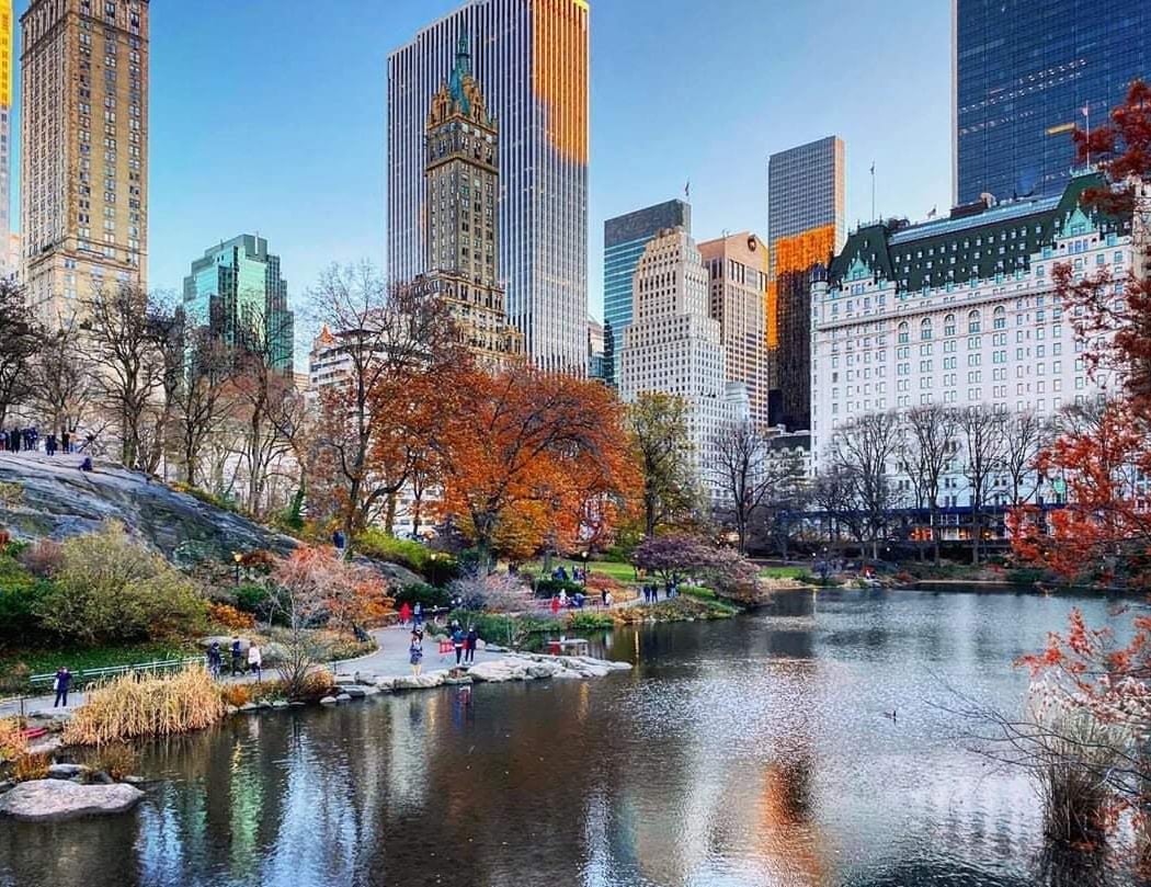 Knights Battle in Central Park 2