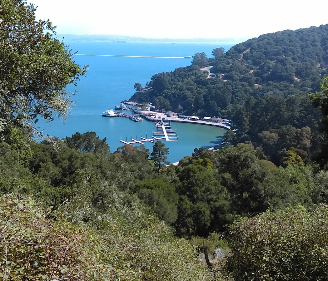 Angel Island Company Office 1