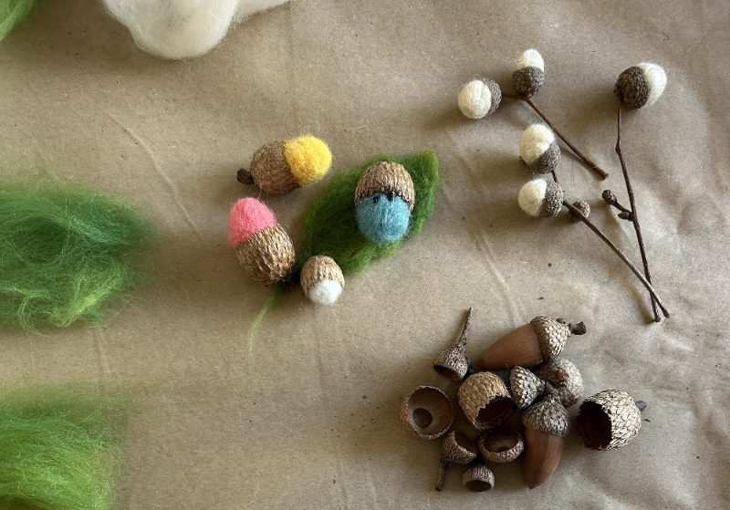 Acorn Adventure