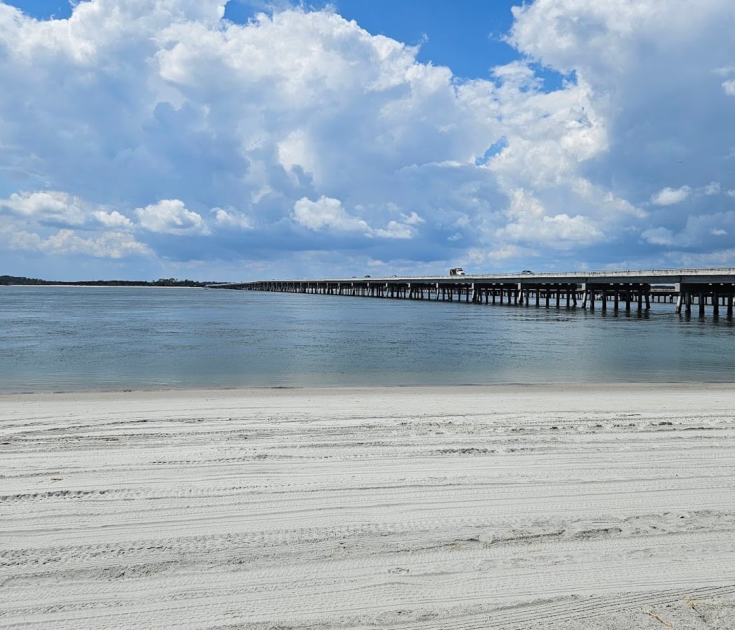 Shorebird Stroll 3