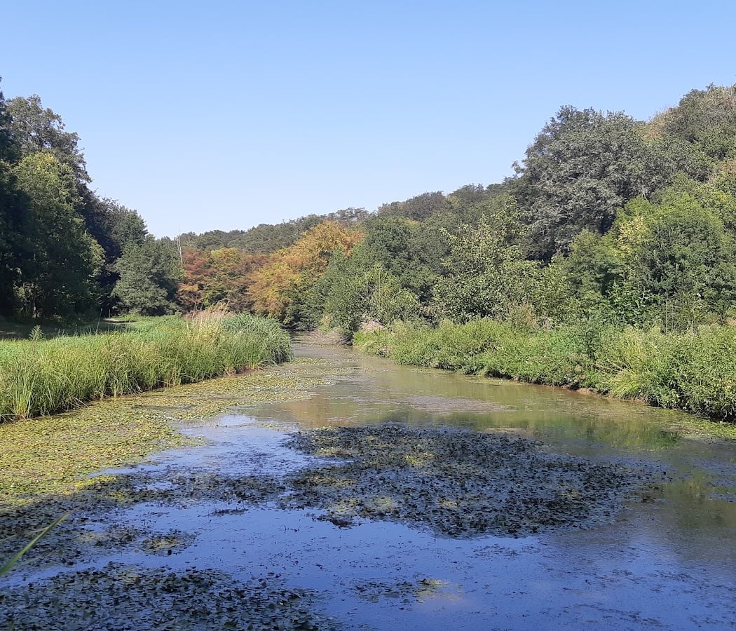 Promenade de la vallée de l'Hâvre 3