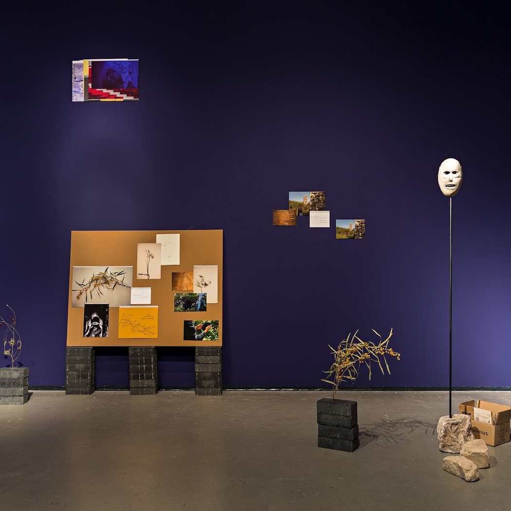 Sample Question, Nina Porter, Fotografie, Ausstellung 2