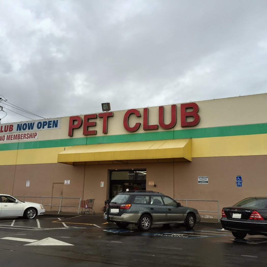 Pet Club Emeryville 2