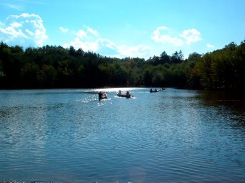 Pond Paddle 2
